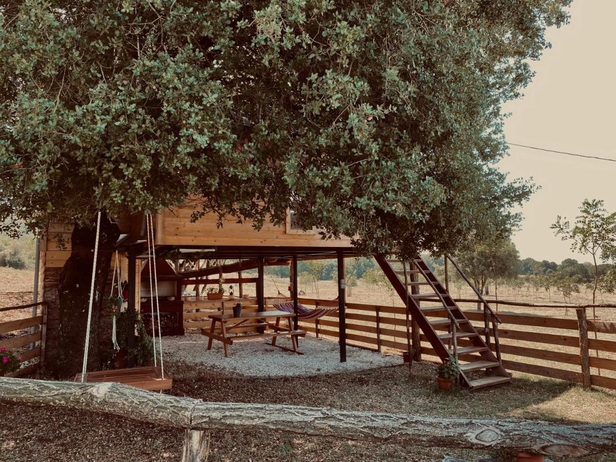 The Treevilla Ioannina Exterior photo